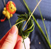 Kush Ki Pavitri Kyon